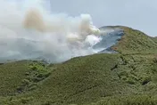 陽明山大火狂燒4.5公頃　承包商兩舉動讓檢方不起訴