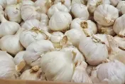 譚敦慈：不吃油恐加速老化　自製蒜油、辣油健康又美味