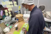 影/日式飯糰店遭房東砸店！高雄人用新台幣下架　日籍老闆鞠躬致謝