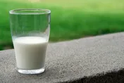 「鮮乳」限標章專用！明年7月上路　違規重罰400萬