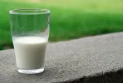 紐西蘭牛乳「0關稅來台」卻漲幅逾3倍　逼近國產牛乳
