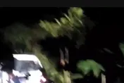 影/債務糾紛押人衝深坑山區！警開3槍逮3嫌