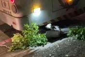士林夜間驚魂！國光客運撞人行道路樹　乘客驚慌急報警