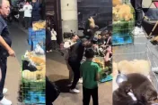 買狗後稱「養不了」退款被拒...陸男狠摔死幼犬惹怒全網
