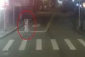 吊車司機槍殺板橋美女畫師自戕腦死　父不願拔管