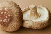 香菇煮前不能洗？農糧署揭背後原因：養分是水溶性