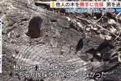 富士山景被擋！陸4惡男毒害他人樹木落網　曾嗆「不會被抓到」