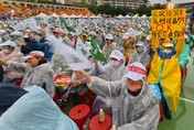 藍委告急！？封關民調出爐　同意罷免投票率衝破9成