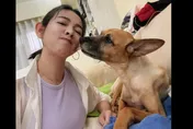 昔被侯友宜「叫錯名」成迷因！米可白愛犬不敵胃癌病逝