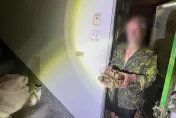 影/桃園偷象龜賊「廢墟宅」曝光！63歲翁思妻曾養164隻兔
