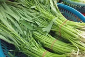 地瓜葉、小白菜缺貨！小吃店燙青菜剩空心菜　網揭主因
