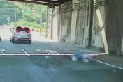 基隆7旬婦買菜未走斑馬線！返家途中遭汽機車撞死