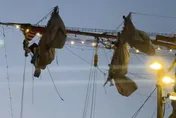 影/墨國軍艦撞橋釀2死　船員懸掛桅杆上驚險畫面曝