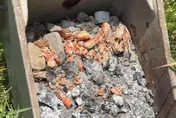 屏東人懂玩！工地百萬怪手秒變烤蝦神器　網：史上最貴