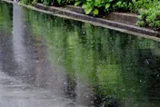 梅雨季將展開！濕氣加重「吃瓜果類」恐害濕疹變嚴重