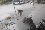 不滿狗踩西瓜園！男持棍亂棒狂揮小黃狗　心狠手辣畫面曝