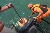影/陸男泳渡金門大膽島　海巡艦艇海上攔截逮人