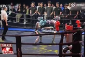 影/全球首位人形機器人「拳王」誕生！精彩對決畫面曝