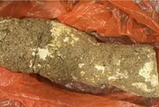 野菇湯變奪命毒藥！阿嬤誤採毒菇　祖孫4人3命危