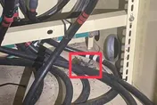 台南成大勝利校區爆停電逾1.5小時　「老鼠闖變電箱」惹禍