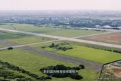 航空城樹木移植遭曲解　桃市府：無列管品種、依法處置無濫伐