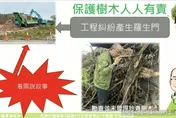 打臉綠營自己人？週刊爆航空城珍貴樹木遭砍　他秀照片嗆：看圖說故事