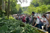 發錢了！北市樂齡進修拿3千　6/11截止登記