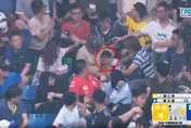 中職/新莊6歲小球迷遭飛球擊中爆血　送醫縫合4公分傷口