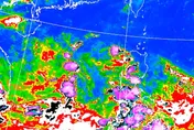 香港估6/10晚發「準蝴蝶颱風」1號風球　3大AI結果「大致相同」