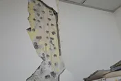 6.4強震北市猛搖！建物牆面驚見裂痕　專家：安全無虞