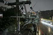 八德人注意！鳥類築巢釀4300戶停電　台電：已全面復電