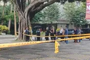 影/逢甲碩士生遭榕樹壓死！家屬招魂一筊即允　母哭到癱軟