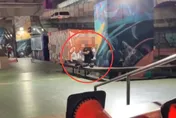 影/北市男滑板場下手行竊　當場走抓包扭送法辦