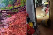 「蝴蝶」效應暴雨釀災！廣西爆土石流致3死