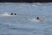 枋寮7學生溺水　2海陸「黑衣部隊」海游300公尺救5人