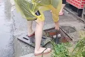 淹水兇手找到了！　高雄大樹水溝清出600kg雜草