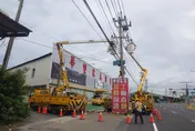 松鼠重出江湖！新竹香山757戶停電　台電：11：32復電