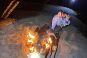 金門海漂豬屍驗出非洲豬瘟病毒　6月23日前禁運豬肉製品赴台