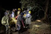 影/27人急救援！雪霸黑熊受困套索　左前掌壞死需手術