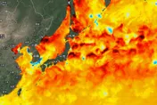 日本周邊「海溫發紅」如燒開水　鄭明典預警：會很熱！