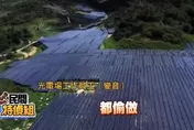 直擊／黑色光電吃掉整片山林！陳其邁下令停工　經濟部火速撤照