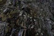 以軍夜襲伊朗機場與飛彈設備　稱摧毀F-14等15架軍機