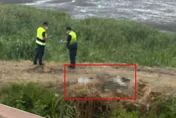 新北五股濕地驚見男屍！　移工抓螃蟹驚見遺體嚇壞報警