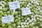 北市5月蔬果農藥殘留58件不合格！辣椒、木瓜、番石榴占多數