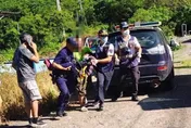 影/高雄塔拉拉魯芙隧道「虎頭蜂圍攻89歲嬤」　送醫搶救