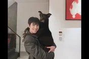 蕭敬騰愛犬過世！與Summer一起痛哭　情緒崩潰急搭機返台