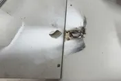 失控男派出所玩照明彈！燒毀桌面地板　4警受懲處