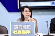 藏鏡人現身？藍委曝罷免內幕：總統大選結束後就開始密謀部署