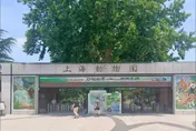10月嬰「用奶瓶喝奶」竟遭驅趕！上海動物園：不文明