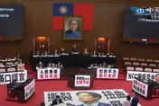 川普來要錢了！普發現金先喊卡　王鴻薇：先等美公布關稅再處理